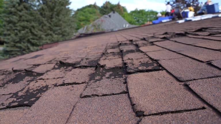 Best Roof Leak Repair  in Skyline Acres, OH