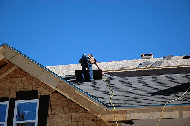Best Roof Moss and Algae Removal  in Skyline Acres, OH