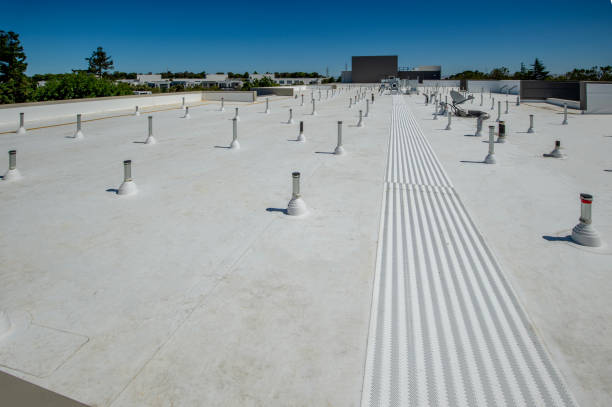 Best Roof Maintenance and Cleaning  in Skyline Acres, OH